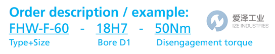 HA-CO联轴器FHW-F-60-24H7-60Nm 爱泽工业 ize-industries (2).png