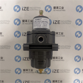 FISHER阀67CFR-600 爱泽工业 izeindustries (7).JPG