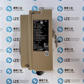 SAMSON定位器3730-31000000400000009.04 爱泽工业 izeindustries (8).JPG