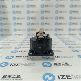 AMETEK阀SAZ-4201FP 爱泽工业 izeindustries (2).jpg